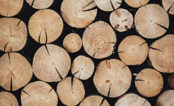 Sustainable Wood Choices Why Suar Wood Stands Out